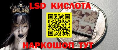 дмт Новокубанск