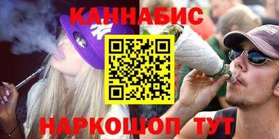 дмт Новокубанск