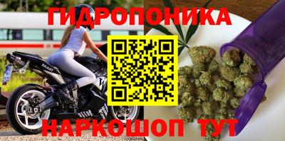 прущие крисы Новодвинск