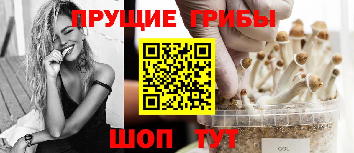 Галлюциногенные грибы Magic Shrooms  Вход с VPN  Реж 