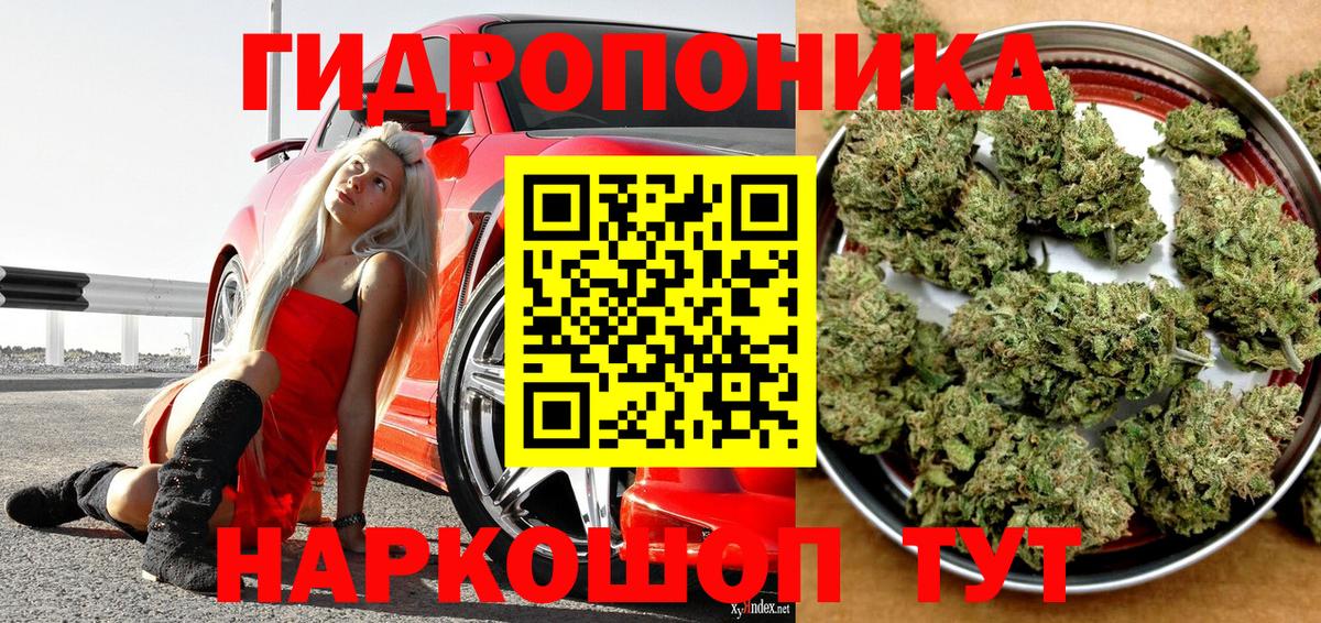 Канабис VHQ  Вход с VPN  Бошки марихуана гибрид  Марихуана семена  Реж 